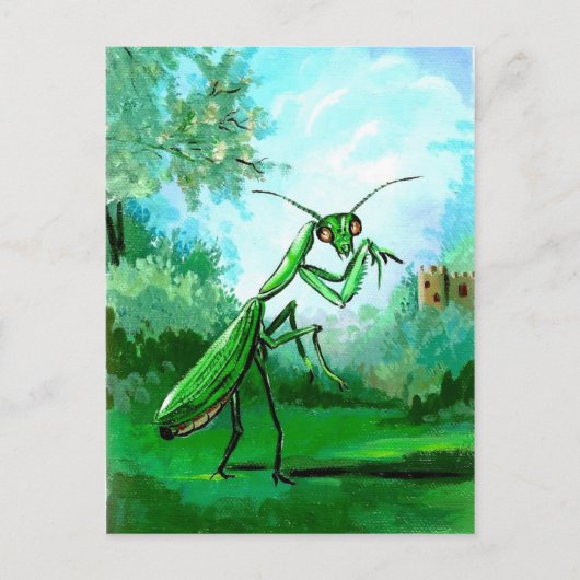Mantis Briefkaart (Voorkant)