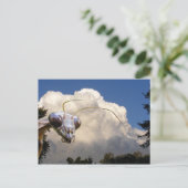 Mantis en Cloud ~ briefkaart (Staand voorkant)
