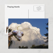 Mantis en Cloud ~ briefkaart (Voorkant / Achterkant)
