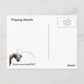 Mantis en Cloud ~ briefkaart (Achterkant)