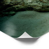 Mantis Garnaal Angelfish Zoutwater Reef Vis Perfect Poster (Hoek)