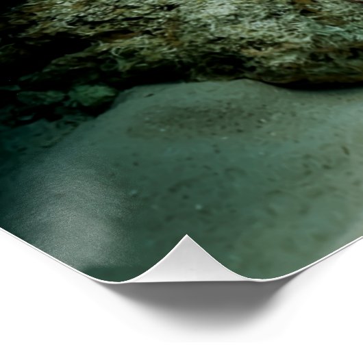 Mantis Garnaal Angelfish Zoutwater Reef Vis Perfect Poster (Hoek)