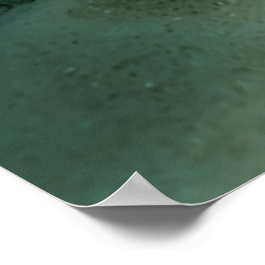 Mantis Garnaal Angelfish Zoutwater Reef Vis Poster (Hoek)