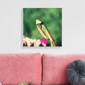 Mantis in de buurt bidden canvas afdruk (Insitu (Woonkamer))