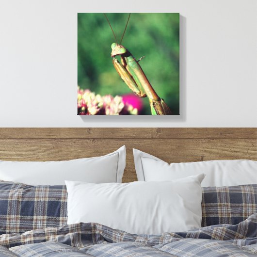 Mantis in de buurt bidden canvas afdruk (Insitu (Slaapkamer))