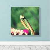 Mantis in de buurt bidden canvas afdruk (Insitu (Houten vloer))