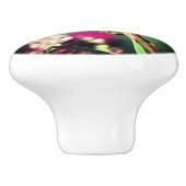 Mantis in de buurt bidden keramische knop (Zijkant)