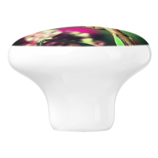 Mantis in de buurt bidden keramische knop (Zijkant)