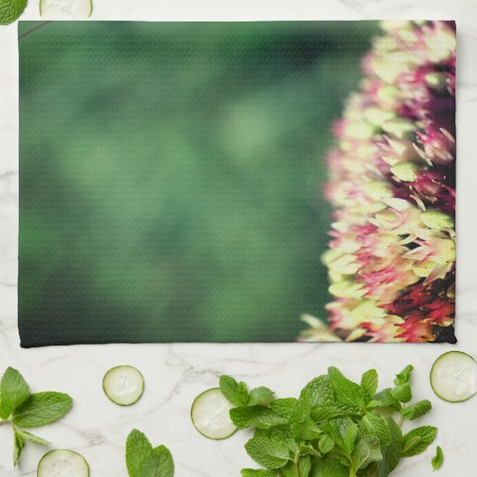 Mantis in de buurt bidden theedoek (Gevouwen)