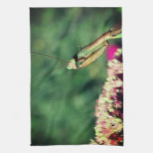 Mantis in de buurt bidden theedoek (Verticaal)