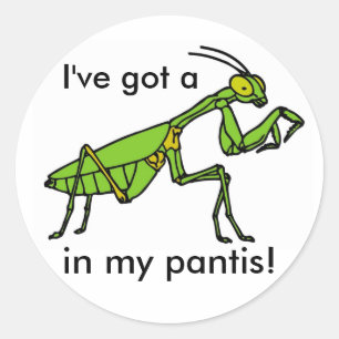 Mantis in mijn Pantis. Ronde Sticker