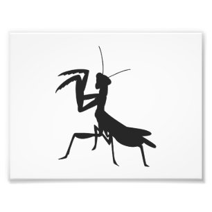 Mantis in silhouet - Kies achtergrondkleur Foto Afdruk