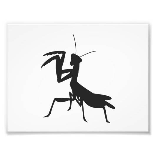 Mantis in silhouet - Kies achtergrondkleur Foto Afdruk (Voorkant)