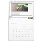 Mantis Man "De God van de Khoi"? Kalender (Jan 2026)