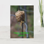Mantis Nest Closeup Birthday Card Kaart (Voorkant)