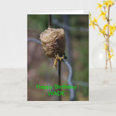 Mantis Nest Closeup Birthday Card Kaart (Gele Bloem)