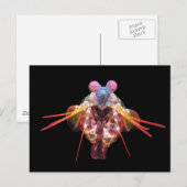 Mantis op zwart briefkaart (Voorkant / Achterkant)