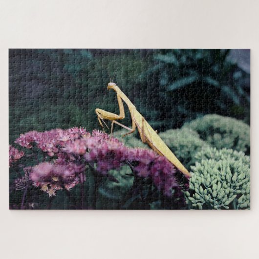 Mantis Paarse Gebedspuzzel - 20x30'' 1014 stukjes Legpuzzel (Horizontaal)