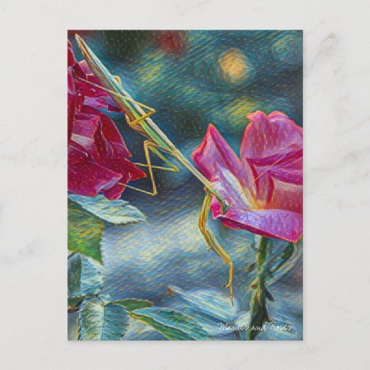 Mantis：Postcard Briefkaart (Voorkant)
