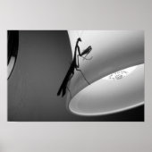 Mantis Poster (Voorkant)