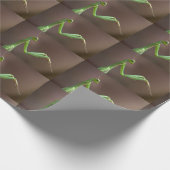 Mantis religosa cadeaupapier (Hoek)