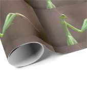 Mantis religosa cadeaupapier (Rol Hoek)