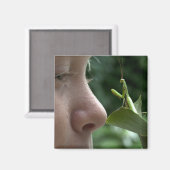 Mantis religosa magneet (Voorkant / Achterkant)