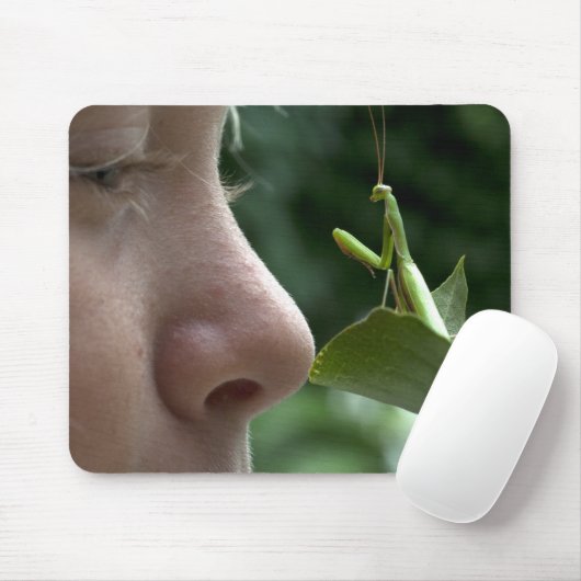 Mantis religosa muismat (Met muis)