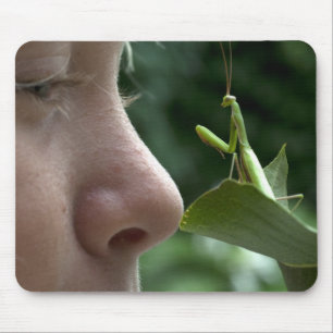 Mantis religosa muismat