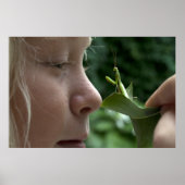 Mantis religosa poster (Voorkant)