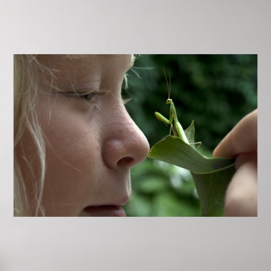 Mantis religosa poster (Voorkant)