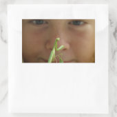 Mantis religosa rechthoekige sticker (Tas)