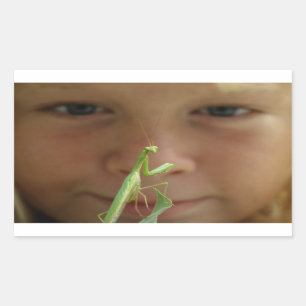 Mantis religosa rechthoekige sticker