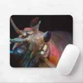 Mantis Shrimp Muismat (Met muis)