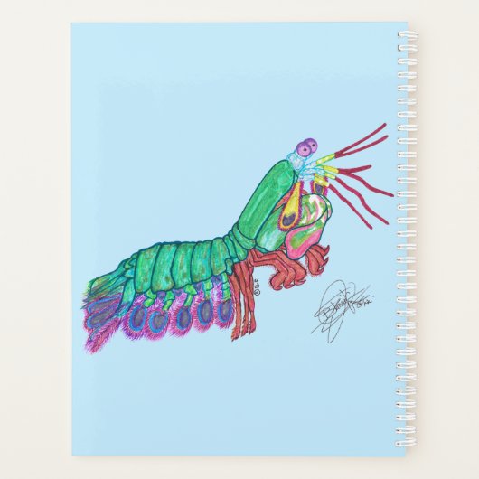 MANTIS SHRIMP PLANNER (Achterkant)