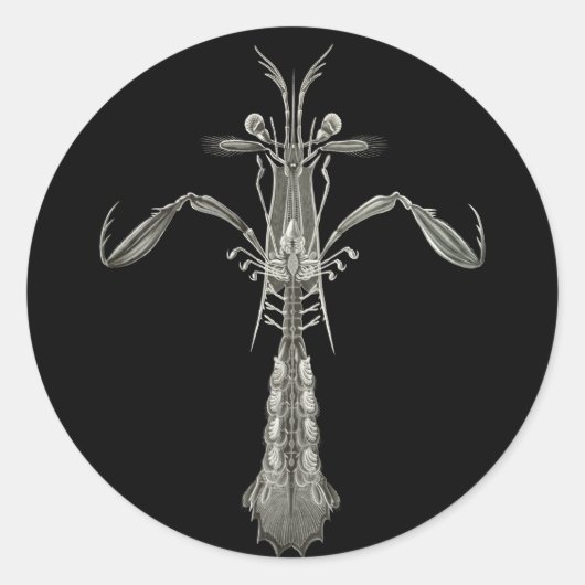 Mantis Shrimp Ronde Sticker (Voorkant)