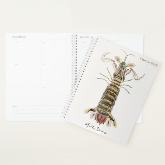 Mantis Shrimp, Stomatopod, James Ellsworth de Kay Planner (Display)