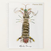 Mantis Shrimp, Stomatopod, James Ellsworth de Kay Planner (Voorkant)