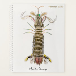 Mantis Shrimp, Stomatopod, James Ellsworth de Kay Planner