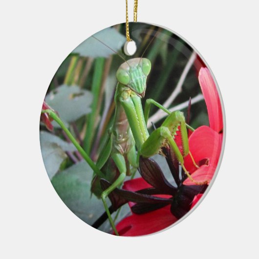 Mantis ~ sierent keramisch ornament (Links)