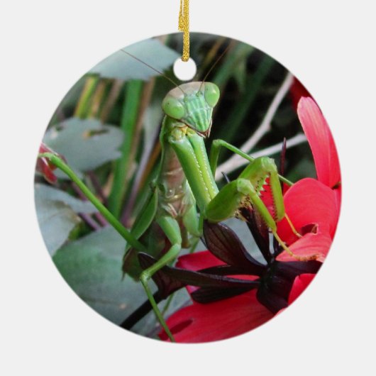 Mantis ~ sierent keramisch ornament (Achterkant)