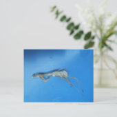 Mantis Skin ~ briefkaart (Staand voorkant)