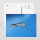 Mantis Skin ~ briefkaart (Voorkant / Achterkant)