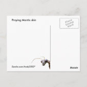 Mantis Skin ~ briefkaart (Achterkant)