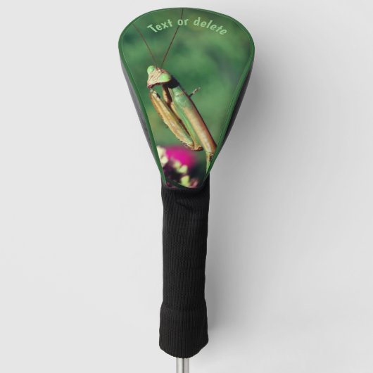 Mantis up Close Personalized Golfheadcover (Voorkant)