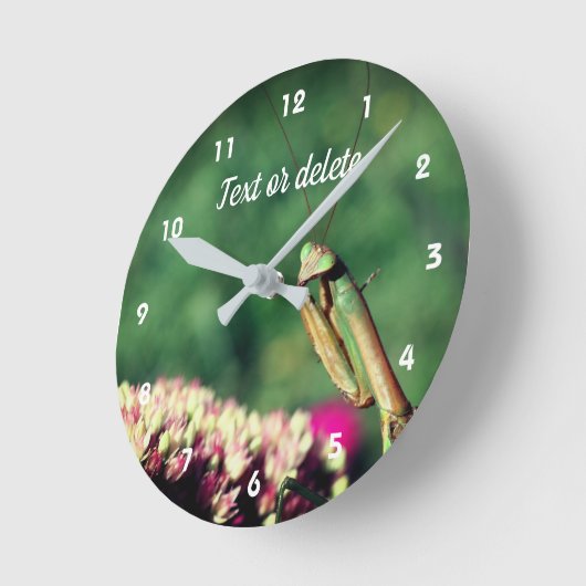Mantis up Close Personalized Ronde Klok (Hoek)