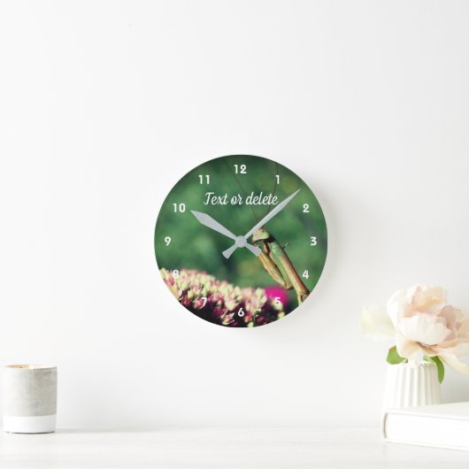 Mantis up Close Personalized Ronde Klok (Huis)