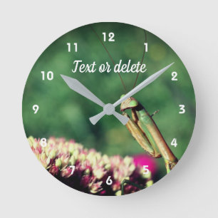 Mantis up Close Personalized Ronde Klok