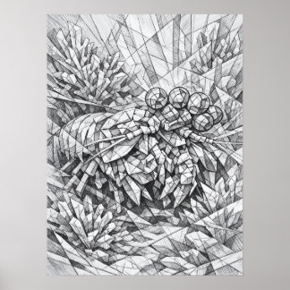 Mantisgarnalen Koraal Geometrie Kunst Poster