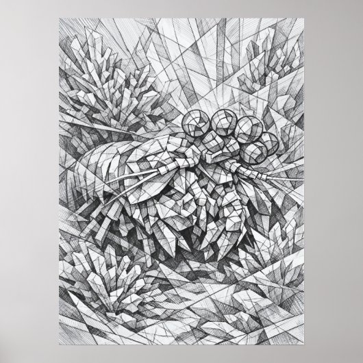Mantisgarnalen Koraal Geometrie Kunst Poster (Voorkant)